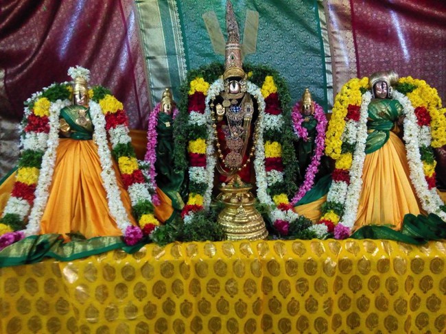Vanamamalai-Sri-Deivanayaga-Perumal_03