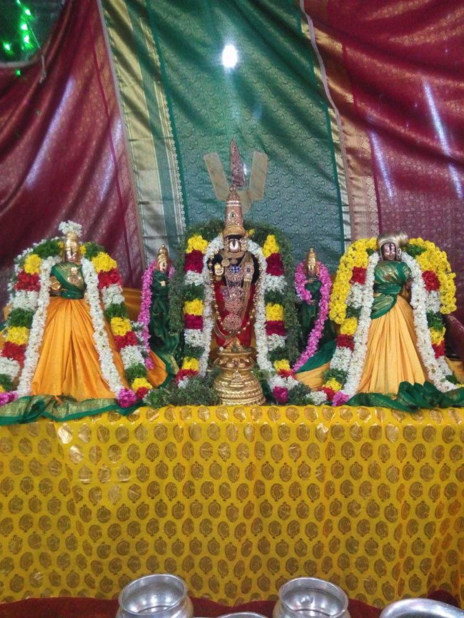 Vanamamalai-Sri-Deivanayaga-Perumal_06