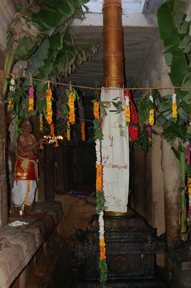 Alwar-Thirunagari-Sri-Aadhinatha-Swamy_09