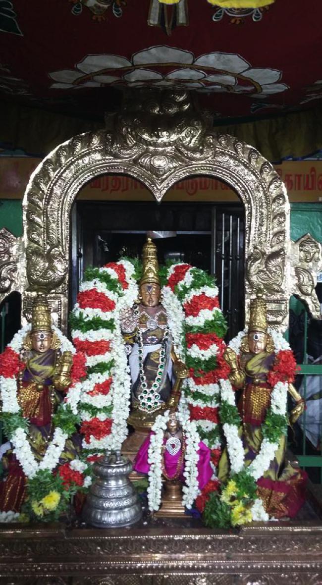 Aminjikarai-Sri-Prasanna-Varadaraja-Perumal_04