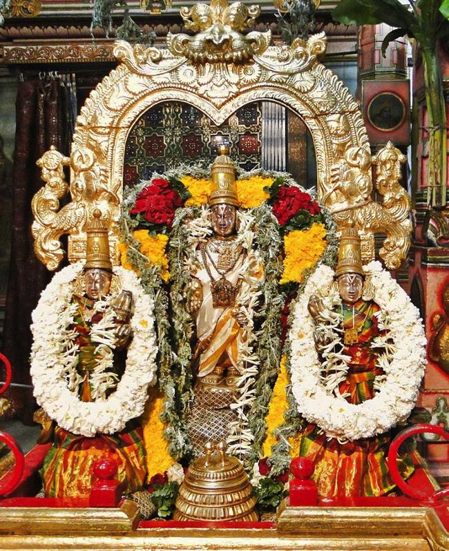 Fanaswadi-Sri-Balaji-Temple_04