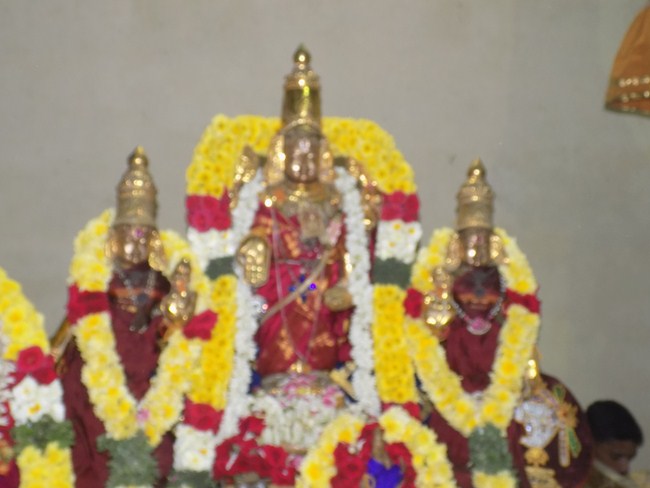 Keelkatalai Sri Srinivasa Perumal Temple Sahasra Kalasa Abhishekam Mahotsavam15