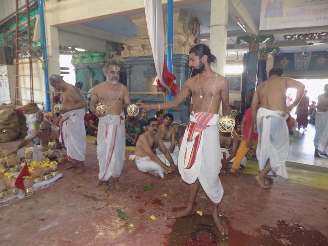 Keelkatalai Sri Srinivasa Perumal Temple Sahasra Kalasa Abhishekam Mahotsavam19