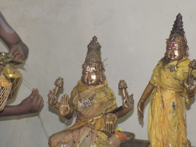 Keelkatalai Sri Srinivasa Perumal Temple Sahasra Kalasa Abhishekam Mahotsavam9