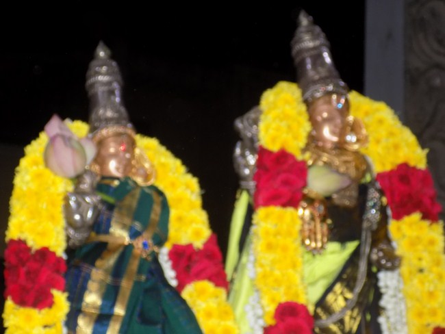 Madipakkam Sri Oppilliappan Pattabhisheka Ramar Temple Manmadha Varusha Thai Sravana Purappadu4