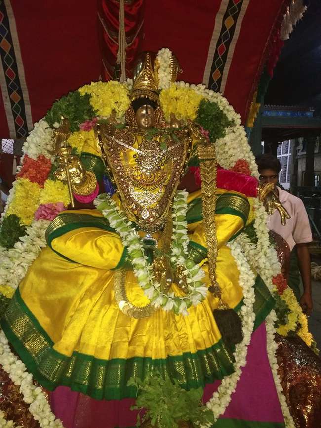 Madurai-Sri-Prasanna-Venkatesa-Perumal_01