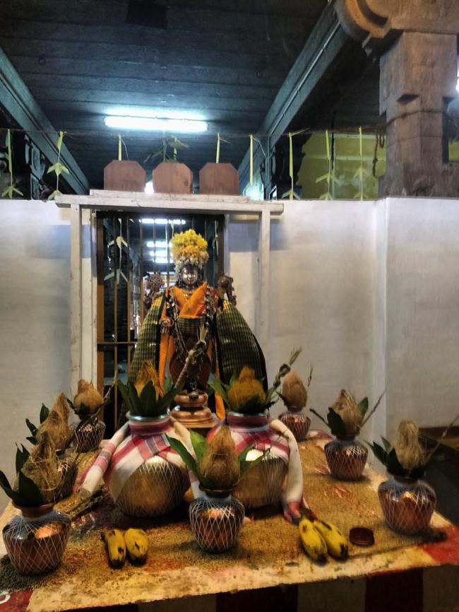 Madurai-Sri-Prasanna-Venkatesa-Perumal_06