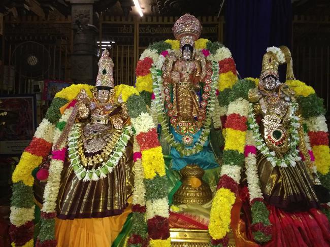 Madurai-Sri-Prasanna-Venkatesa-Perumal_06