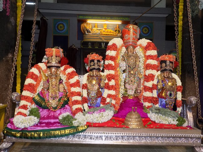 Mylapore SVDD Srinivasa Perumal Temple Manmadha Varusha Dhavanothsavam10