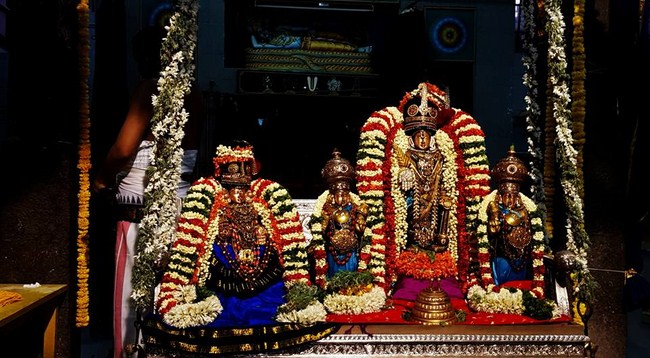 Mylapore SVDD Srinivasa Perumal Temple Manmadha Varusha Dhavanothsavam2