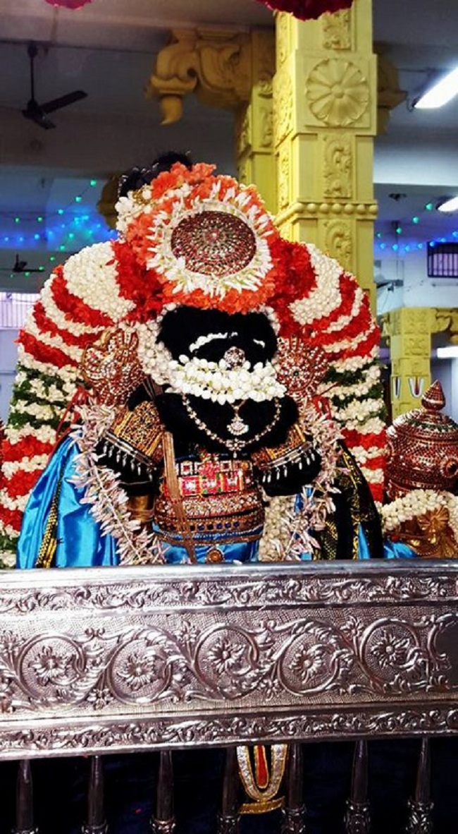 Mylapore SVDD Srinivasa Perumal Temple Manmadha Varusha Dhavanothsavam5