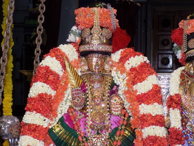 Mylapore SVDD Srinivasa Perumal Temple Manmadha Varusha Dhavanothsavam6