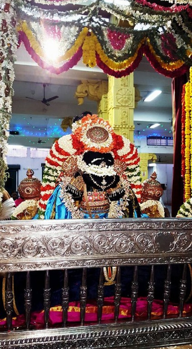 Mylapore SVDD Srinivasa Perumal Temple Manmadha Varusha Dhavanothsavam7
