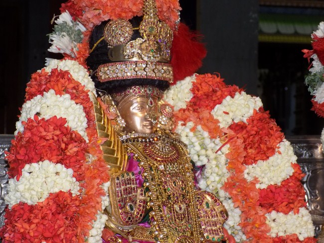 Mylapore SVDD Srinivasa Perumal Temple Manmadha Varusha Dhavanothsavam7