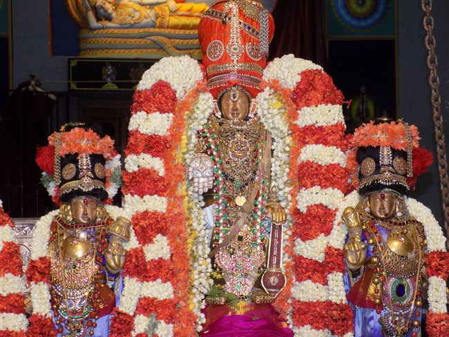 Mylapore SVDD Srinivasa Perumal Temple Manmadha Varusha Dhavanothsavam8