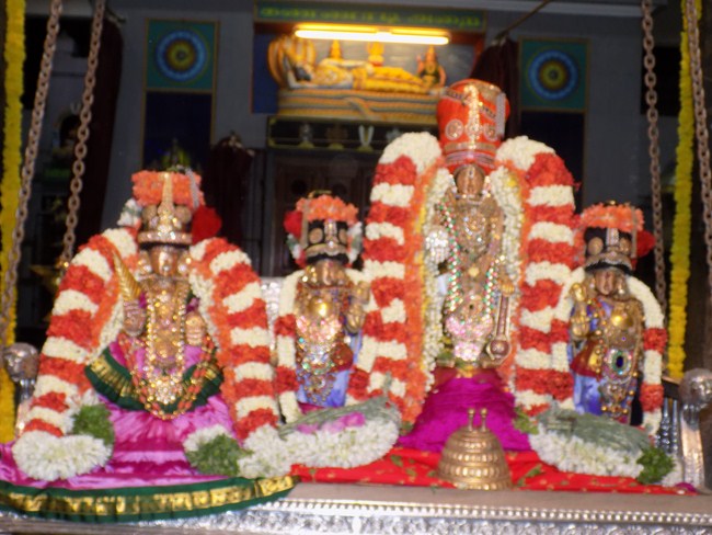 Mylapore SVDD Srinivasa Perumal Temple Manmadha Varusha Dhavanothsavam9
