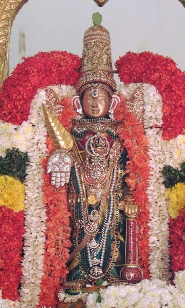 Mylapore SVDD Srinivasa Perumal Temple Manmadha Varusha Vanabhojana Utsavam11