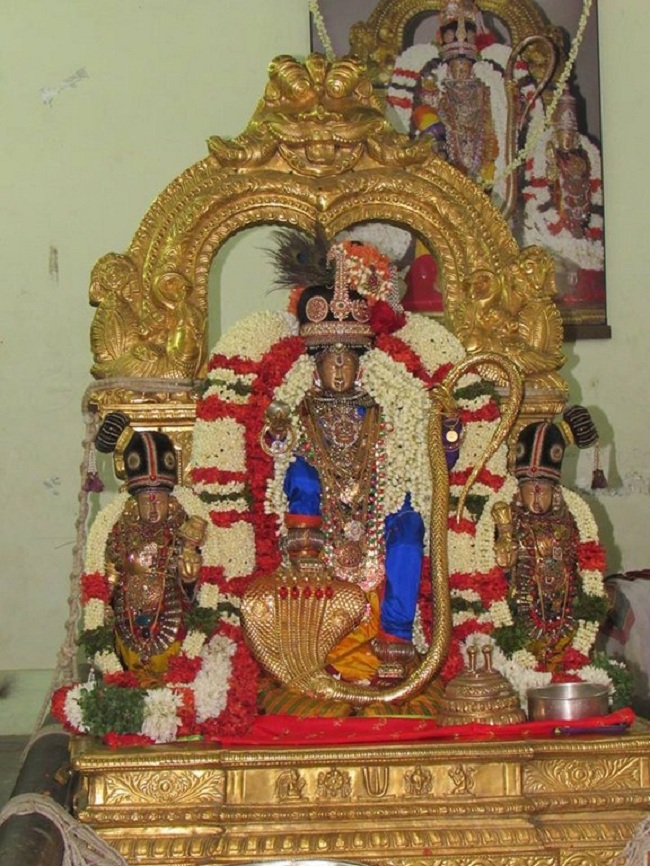 Mylapore SVDD Srinivasa Perumal Temple Manmadha Varusha Vanabhojana Utsavam13