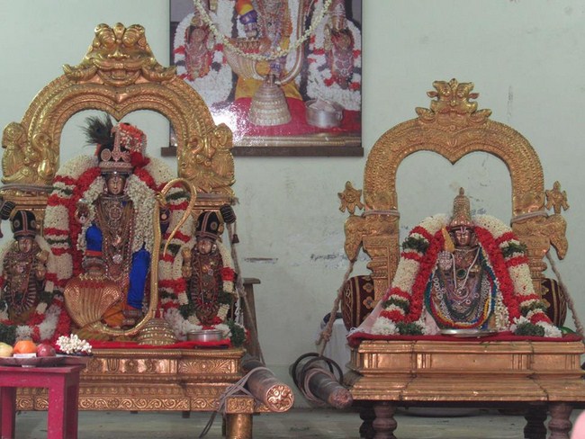 Mylapore SVDD Srinivasa Perumal Temple Manmadha Varusha Vanabhojana Utsavam16