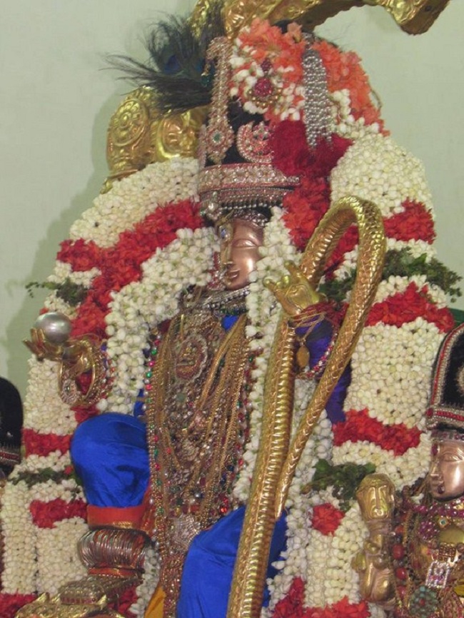 Mylapore SVDD Srinivasa Perumal Temple Manmadha Varusha Vanabhojana Utsavam17