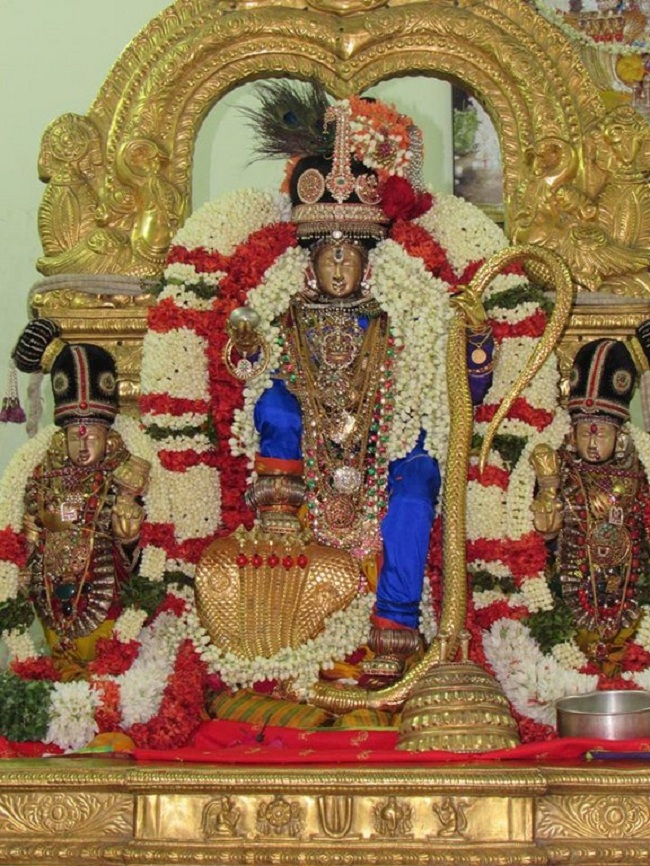 Mylapore SVDD Srinivasa Perumal Temple Manmadha Varusha Vanabhojana Utsavam23