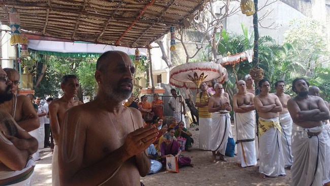 Mylapore SVDD Srinivasa Perumal Temple Manmadha Varusha Vanabhojana Utsavam33