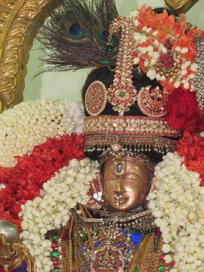 Mylapore SVDD Srinivasa Perumal Temple Manmadha Varusha Vanabhojana Utsavam8