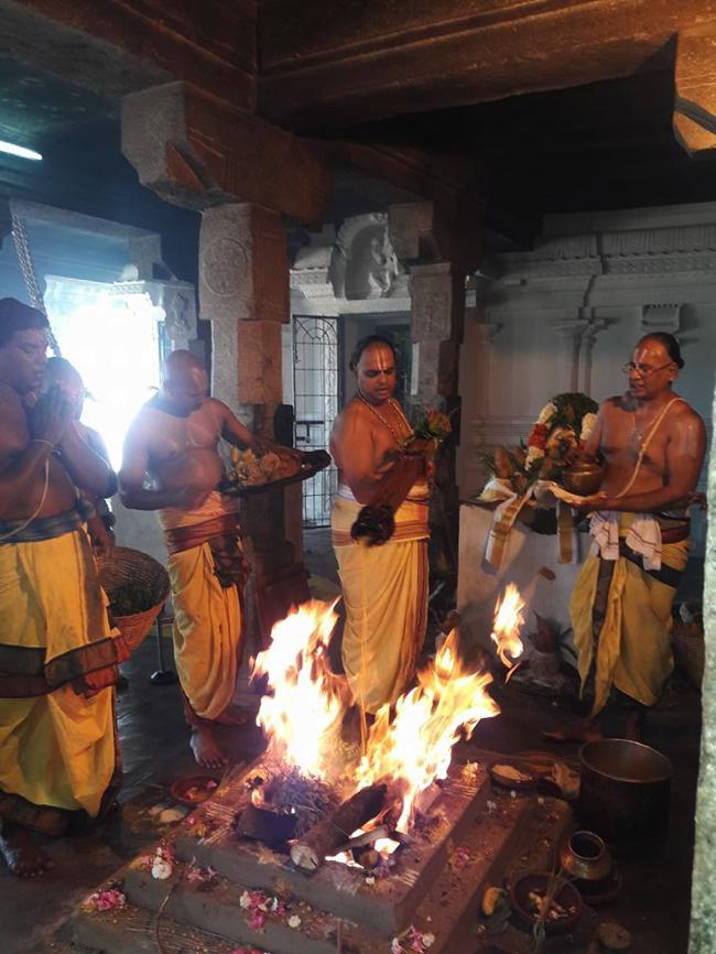 Nagalapuram-Sri-Veda-Narayana-Swamy_10