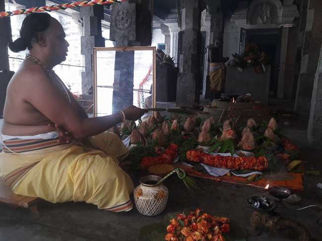 Nagalapuram-Sri-Veda-Narayana-Swamy_18