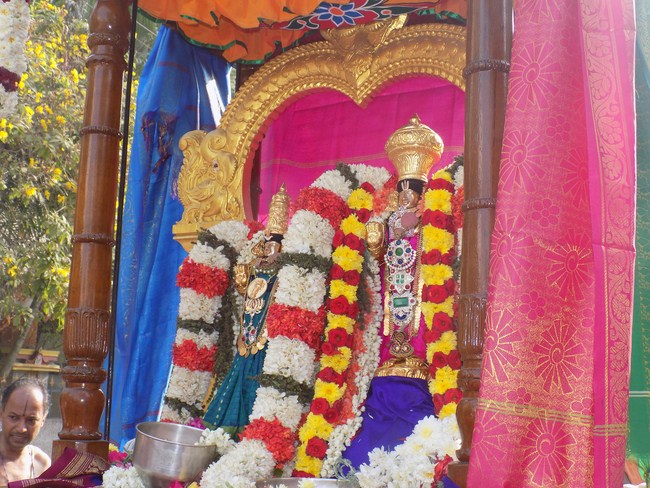 Nanganallur Sri Lakshmi Narasimhar Navaneetha Krishnan Temple Manmadha Varusha Varshika BrahmotsavaM6