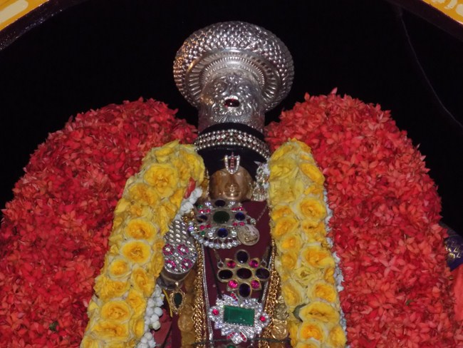 Nanganallur Sri Lakshmi Narasimhar Navaneetha Krishnan Temple Manmadha Varusha Varshika Brahmotsavam13