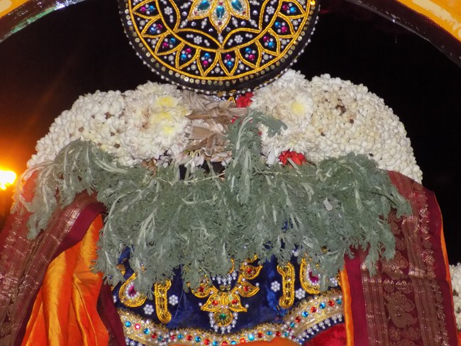 Nanganallur Sri Lakshmi Narasimhar Navaneetha Krishnan Temple Manmadha Varusha Varshika Brahmotsavam13