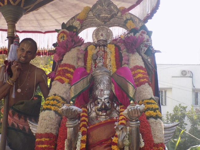 Nanganallur Sri Lakshmi Narasimhar Navaneetha Krishnan Temple Manmadha Varusha Varshika Brahmotsavam4