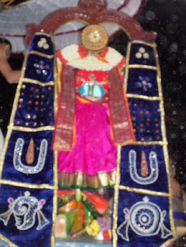 Nanganallur Sri Lakshmi Narasimhar Navaneetha Krishnan Temple Manmadha Varusha Varshika Brahmotsavam5