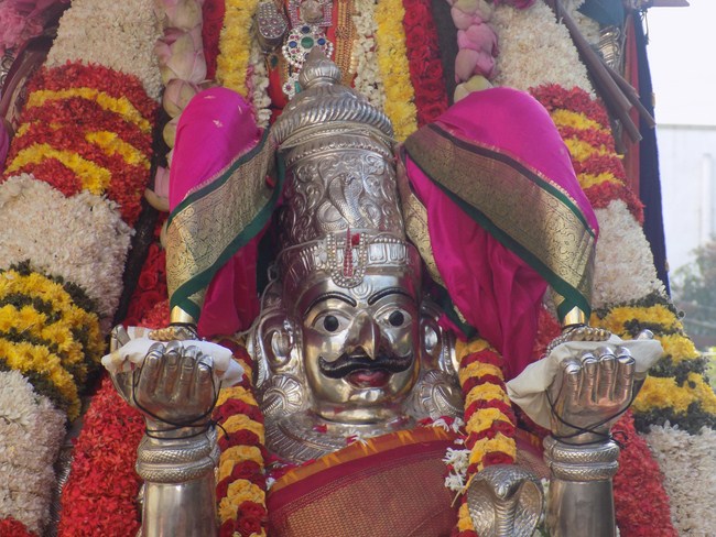 Nanganallur Sri Lakshmi Narasimhar Navaneetha Krishnan Temple Manmadha Varusha Varshika Brahmotsavam8