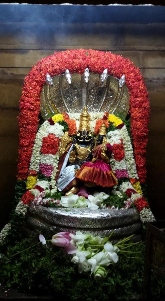 Poovarasankuppam-Sri-Lakshminarasimha-Perumal_06