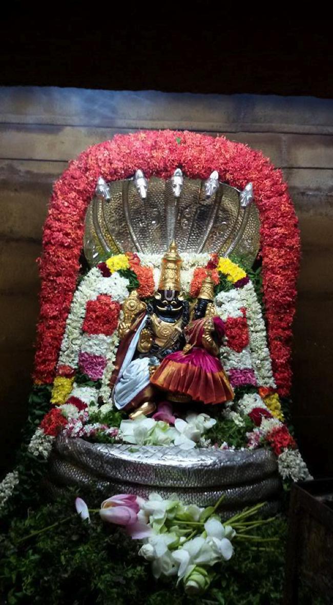 Poovarasankuppam-Sri-Lakshminarasimha-Perumal_07