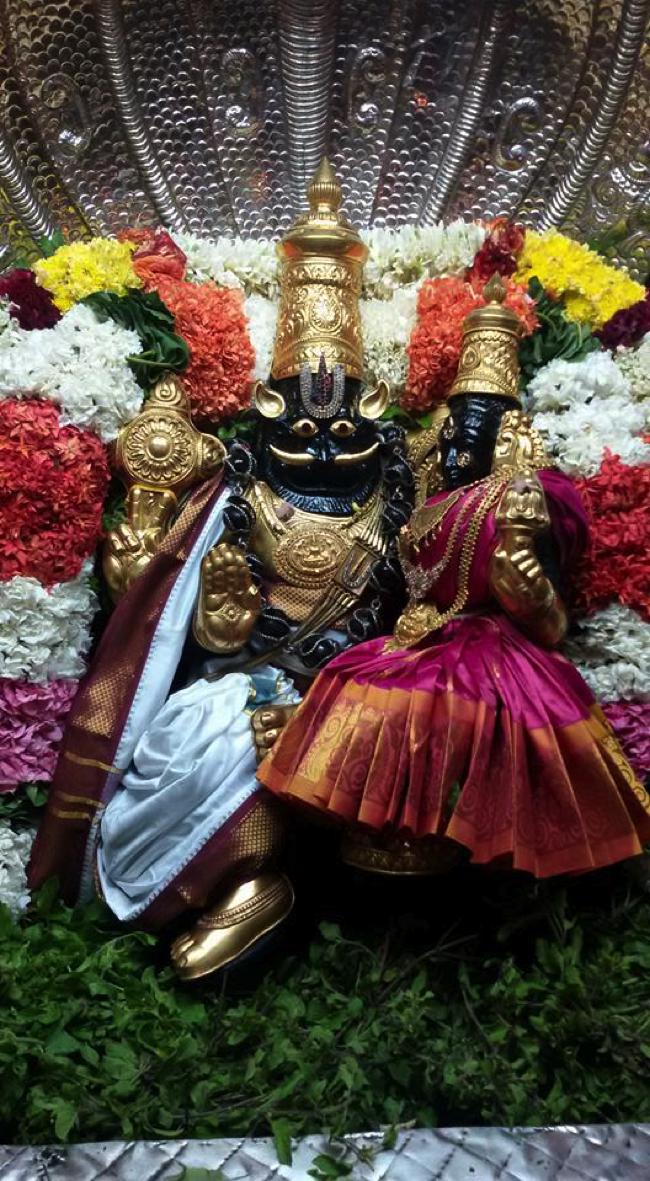 Poovarasankuppam-Sri-Lakshminarasimha-Perumal_11