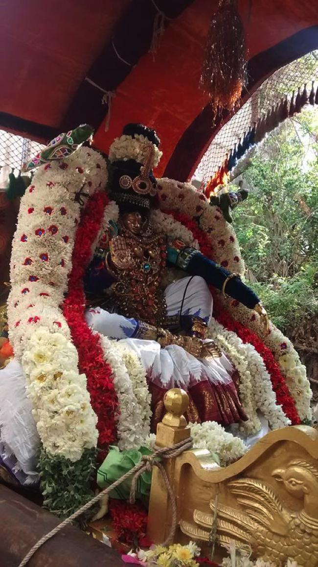 Taramani-Sri-Prasanna-Venkatesa-Perumal_00
