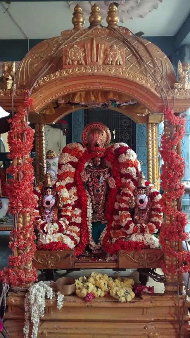Taramani-Sri-Prasanna-Venkatesa-Perumal_00