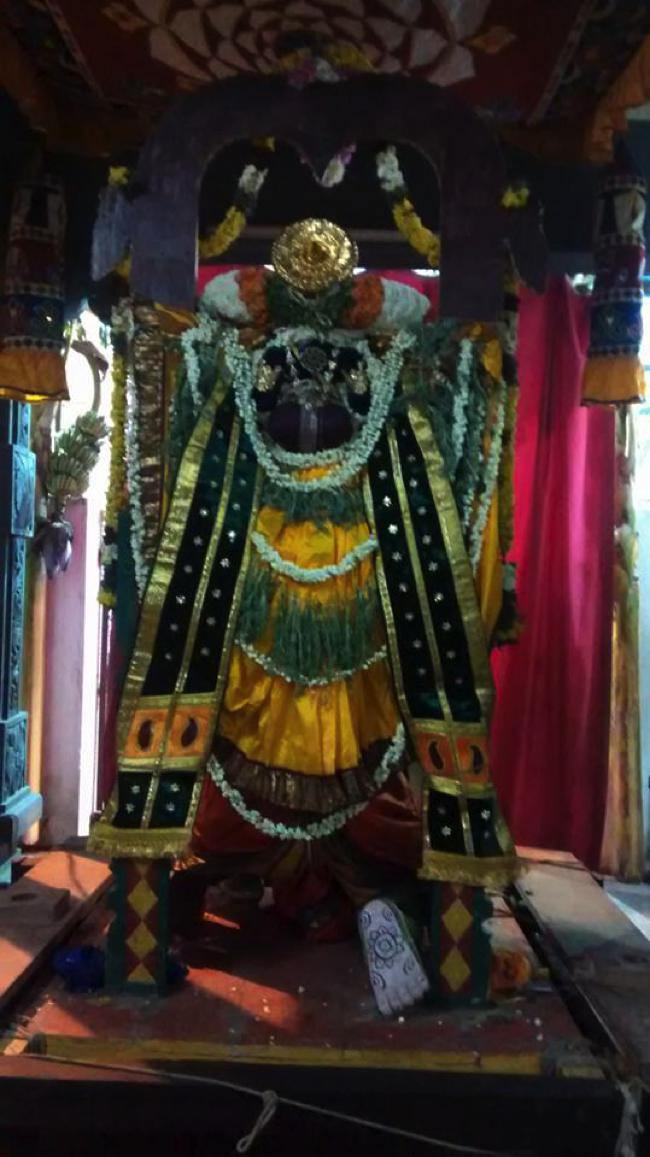 Taramani-Sri-Prasanna-Venkatesa-Perumal_02