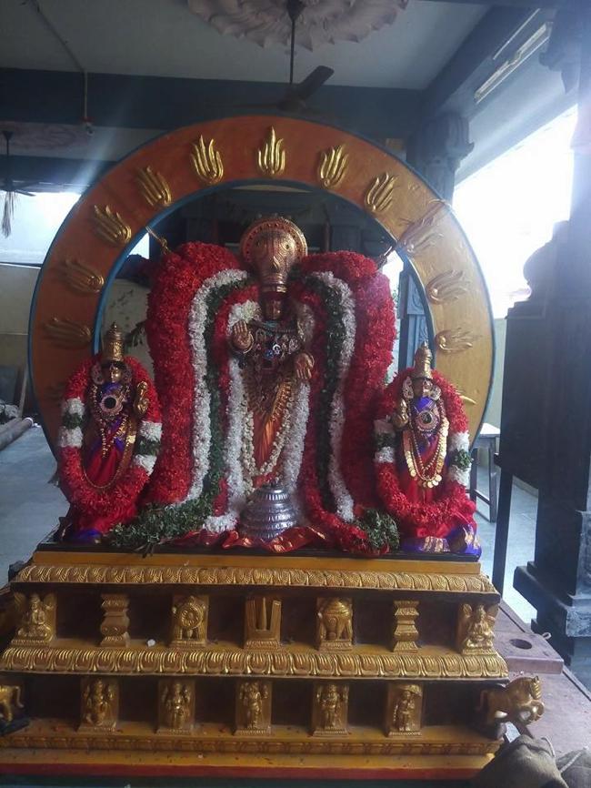 Taramani-Sri-Prasanna-Venkatesa-Perumal_03