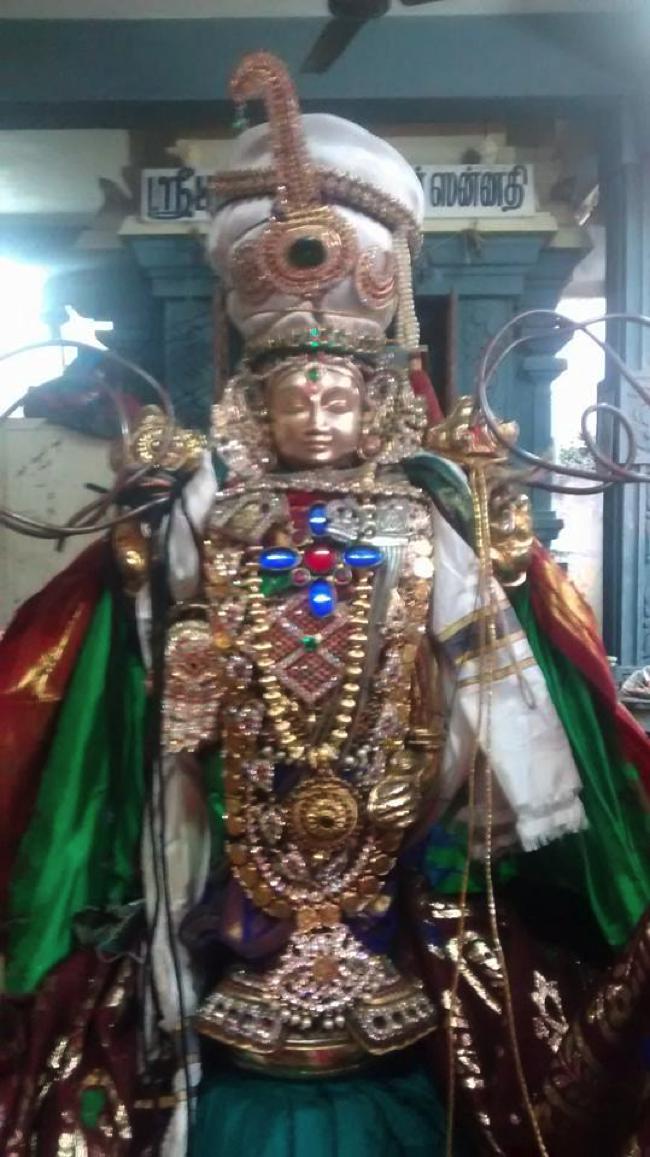 Taramani-Sri-Prasanna-Venkatesa-Perumal_05