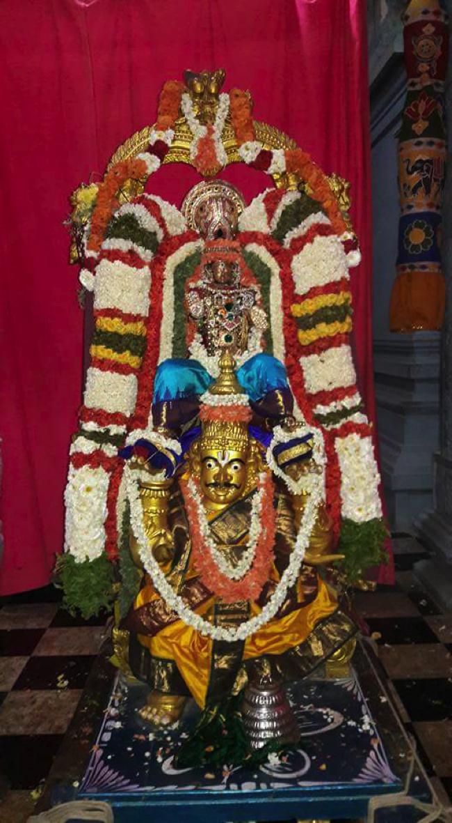 Taramani-Sri-Prasanna-Venkatesa-Perumal_06
