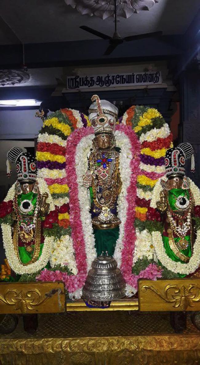 Taramani-Sri-Prasanna-Venkatesa-Perumal_10