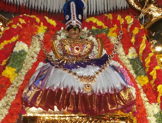 Therazhundur-Sri-Sengamalavalli-Thayar1