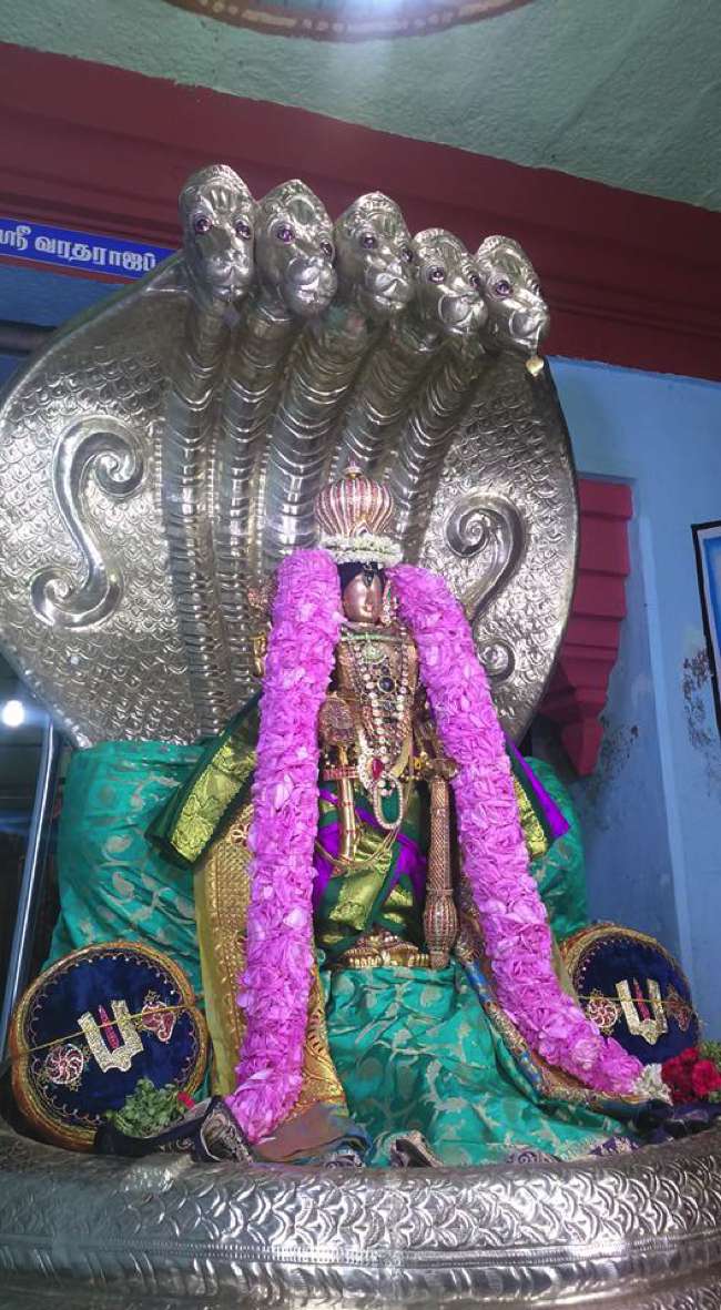 ThiruNagai-Sri-Soundararaja-Perumal_00