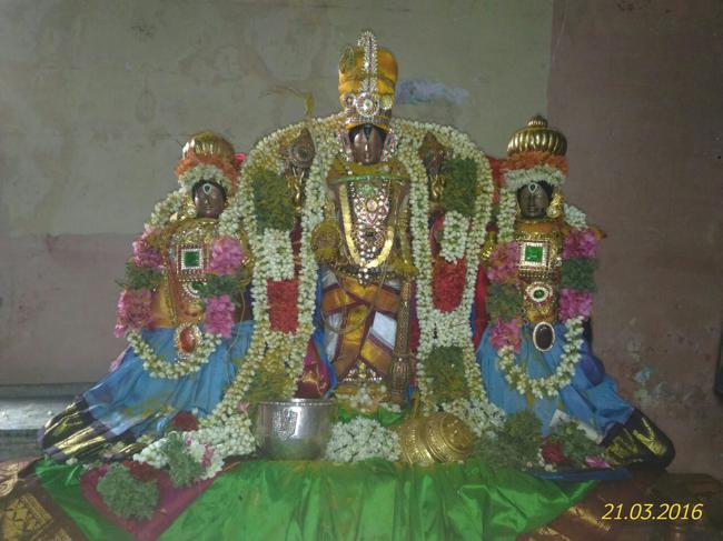 ThiruNagai-Sri-Soundararaja-Perumal_04