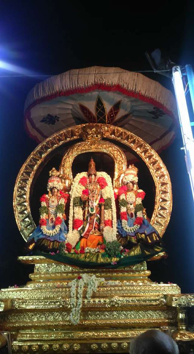 ThiruNagai-Sri-Soundararaja-Perumal_15