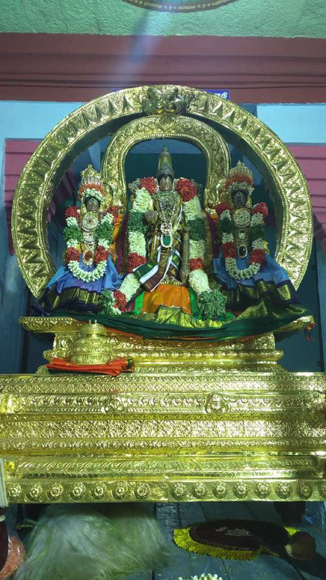 ThiruNagai-Sri-Soundararaja-Perumal_16